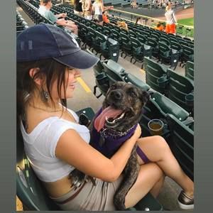 Meet your Posher, Shelby